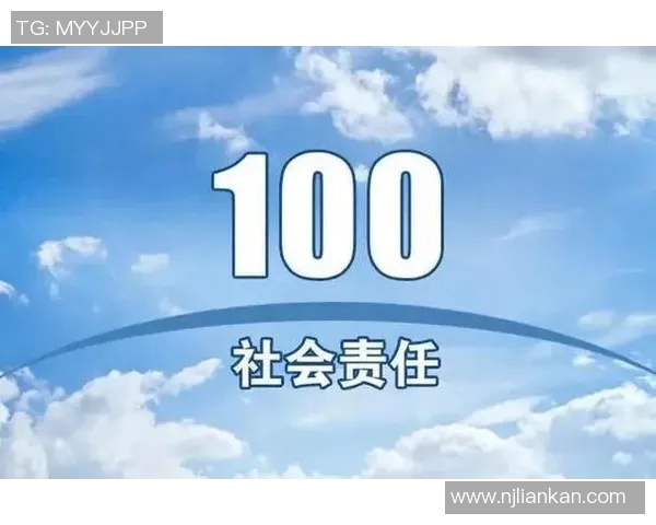 以社会责任为核心推动力构建和谐发展新模式探索与实践