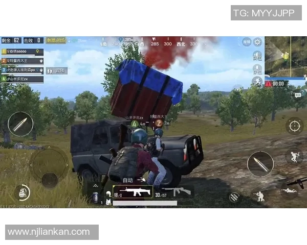 深度探讨刘强在和平精英中的人生哲学与游戏策略